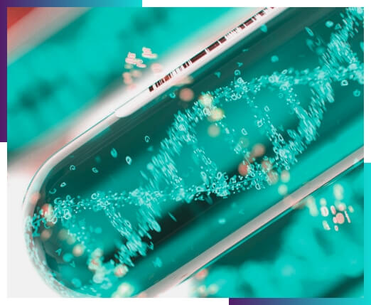 Código Regio tu aliado