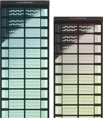Codigo Regio empresa mexicana